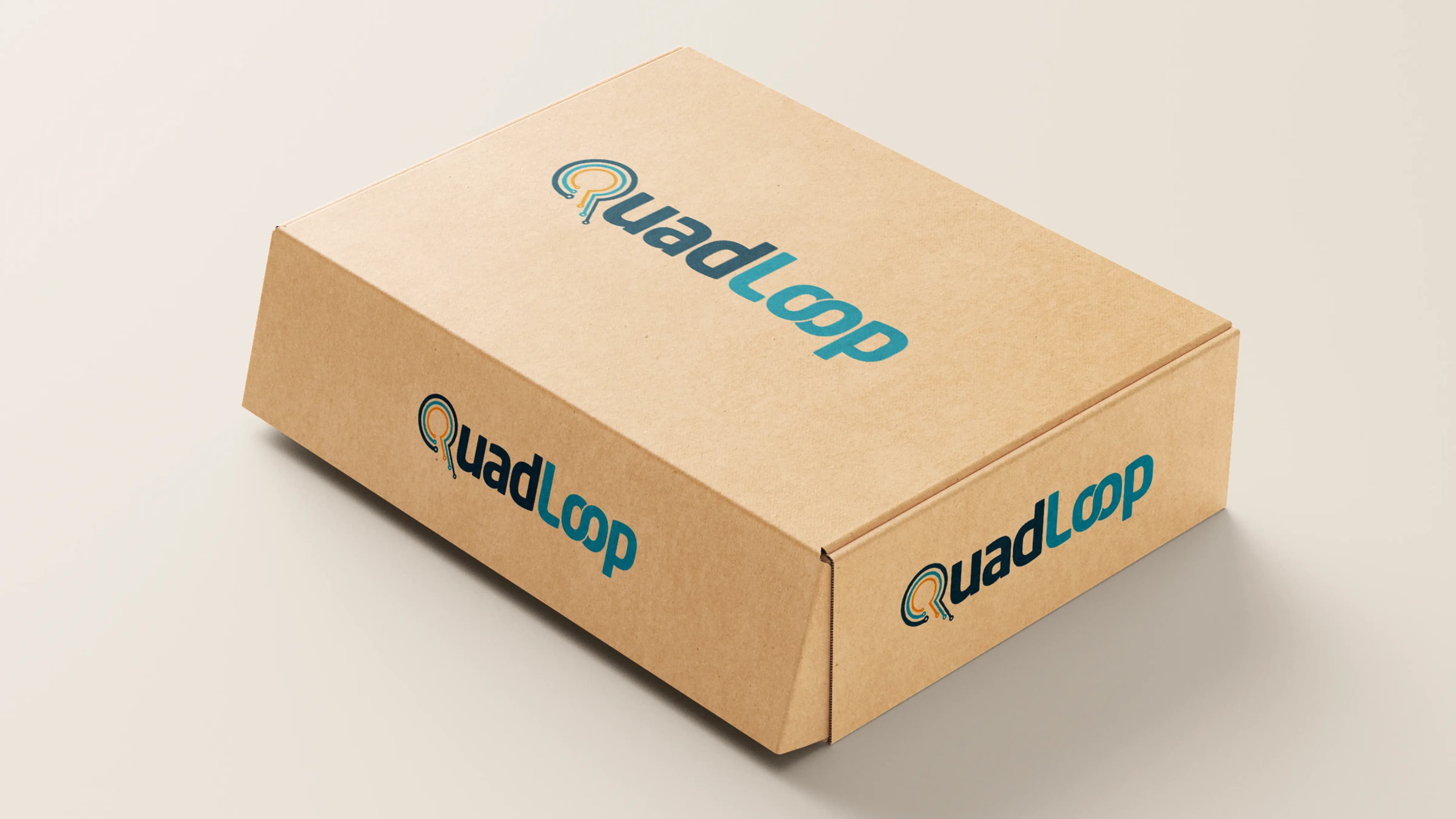 Quadloop project detail 1